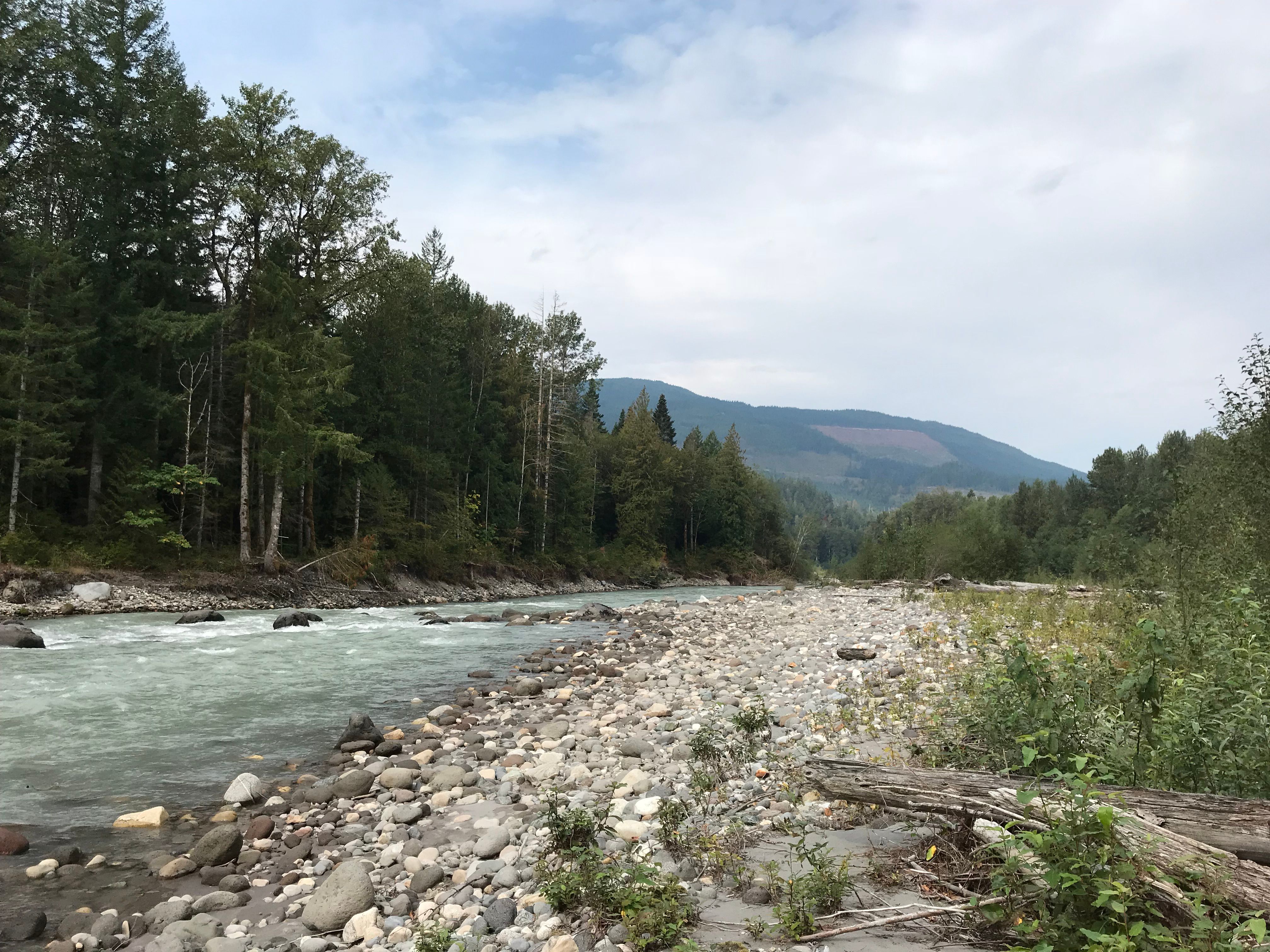 Suiattle River Property Skagit Land Trust